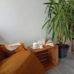 Rituel bien-être