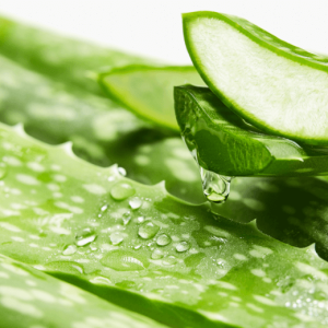 parfum-aloe-vera